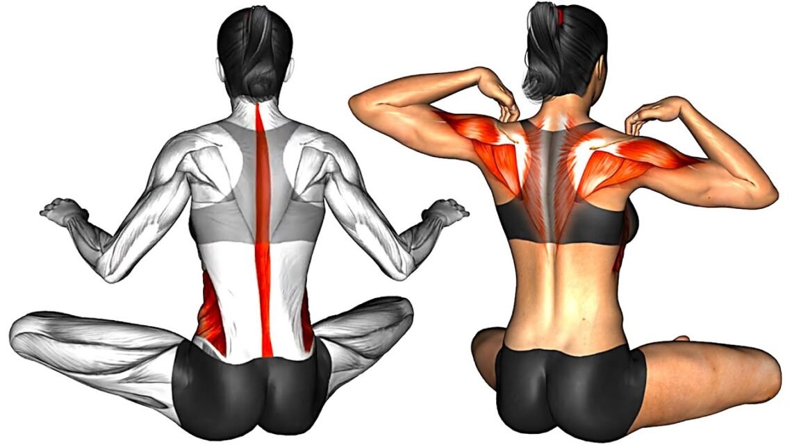 6 Min Mobility Workout 6 Min Mobility Workout