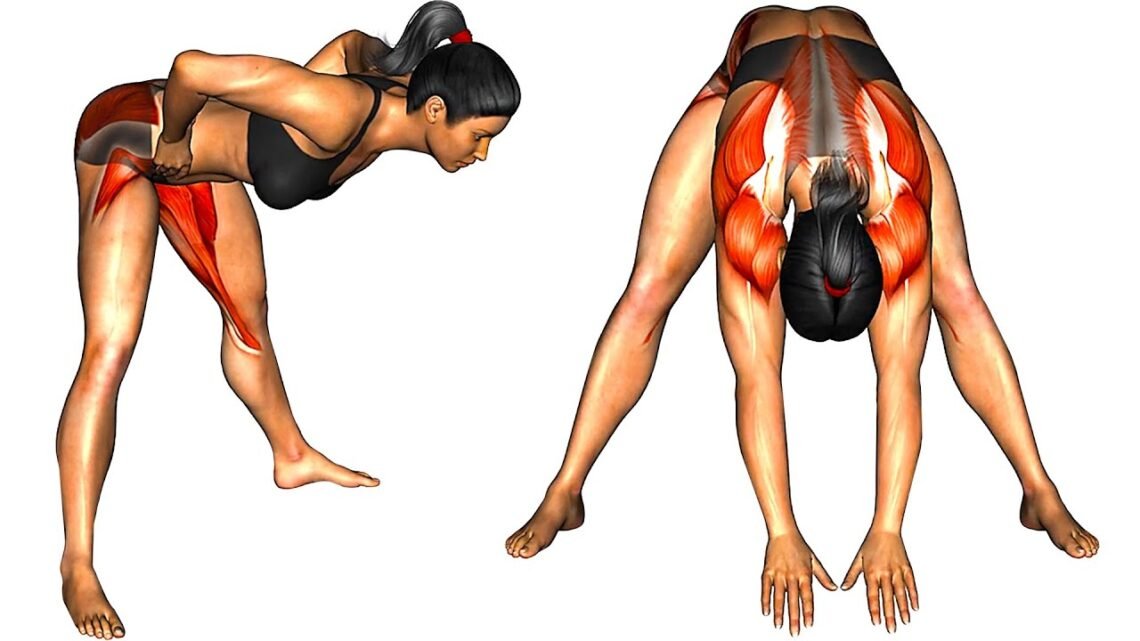 Morning Warm-up Exercises for Women Morning Warm-up Exercises for Women