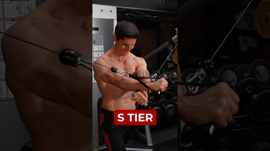 Chest Exercise Tier List (RANKINGS) Chest Exercise Tier List (RANKINGS)