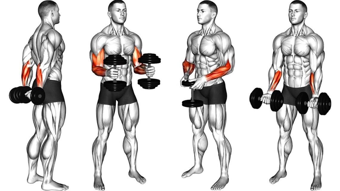 How To Build Big Forearms at Home with Dumbbells How To Build Big Forearms at Home with Dumbbells