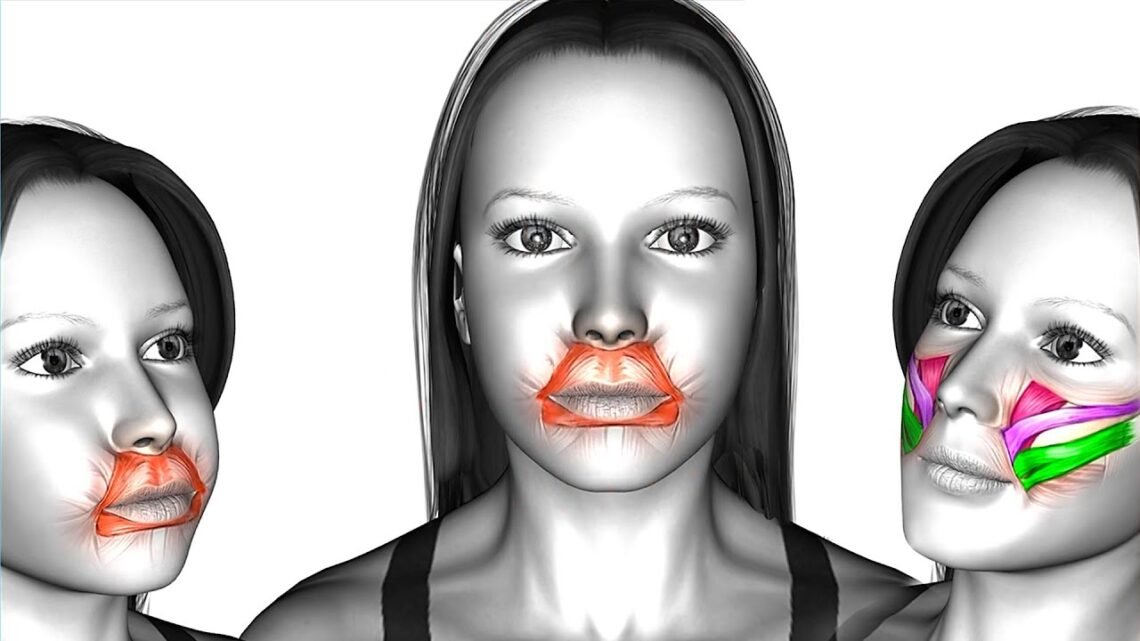 Lose Face Fat and Double Chin, Facelift, Slim