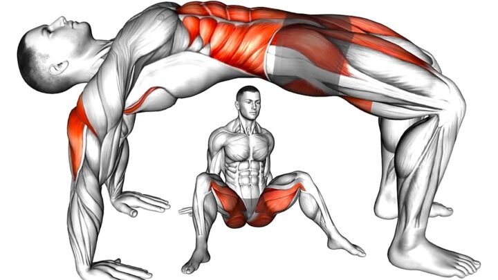 10 Exercises to Improve Blood Circulation