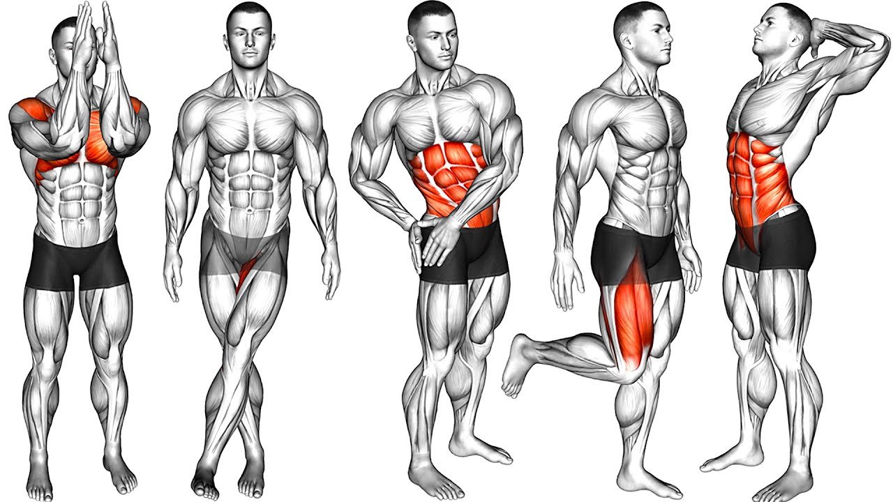 Immortal Routine H 7 Min Morning Warm Up Routine (You Can Do Everyday) – Beast Immortal
