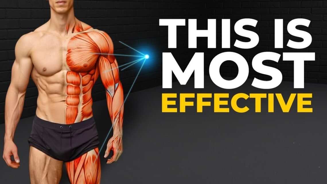 The Most “EFFECTIVE” Full Body Workout (30 DAY PLAN)