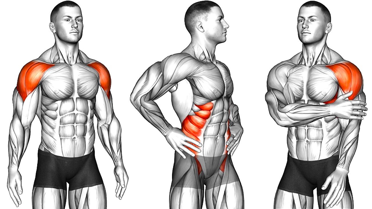 Immortal Routine H Morning Exercise Routine for Beginners at Home – Beast Immortal