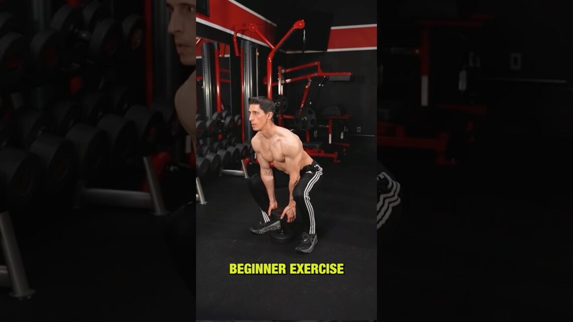The BEST Workout for Beginners