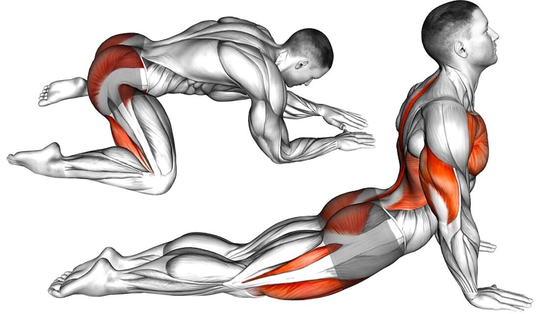 Full Body Warm Up and Mobility Workout  Follow Along