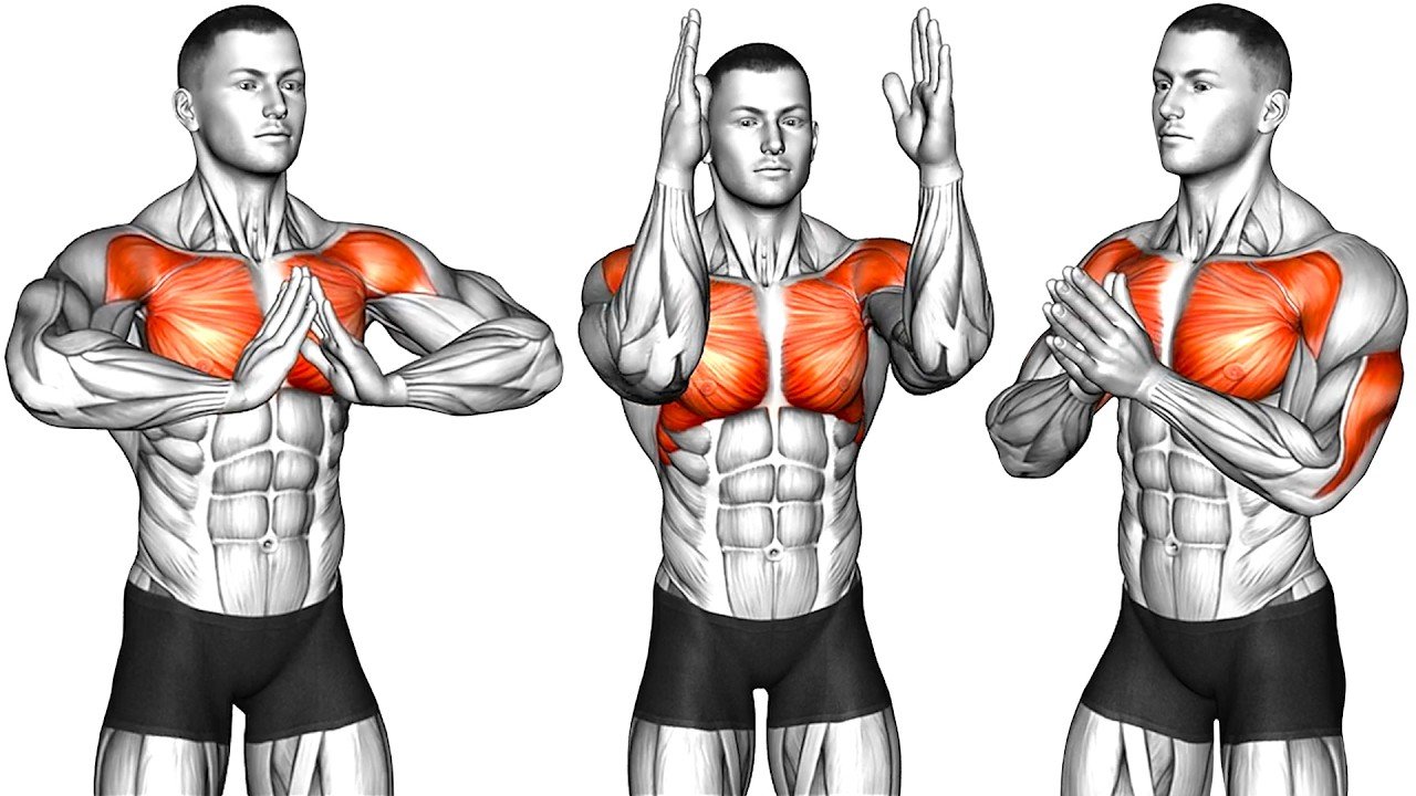 Immortal Routine H Full Body Stretching – Daytime Routine – Beast Immortal