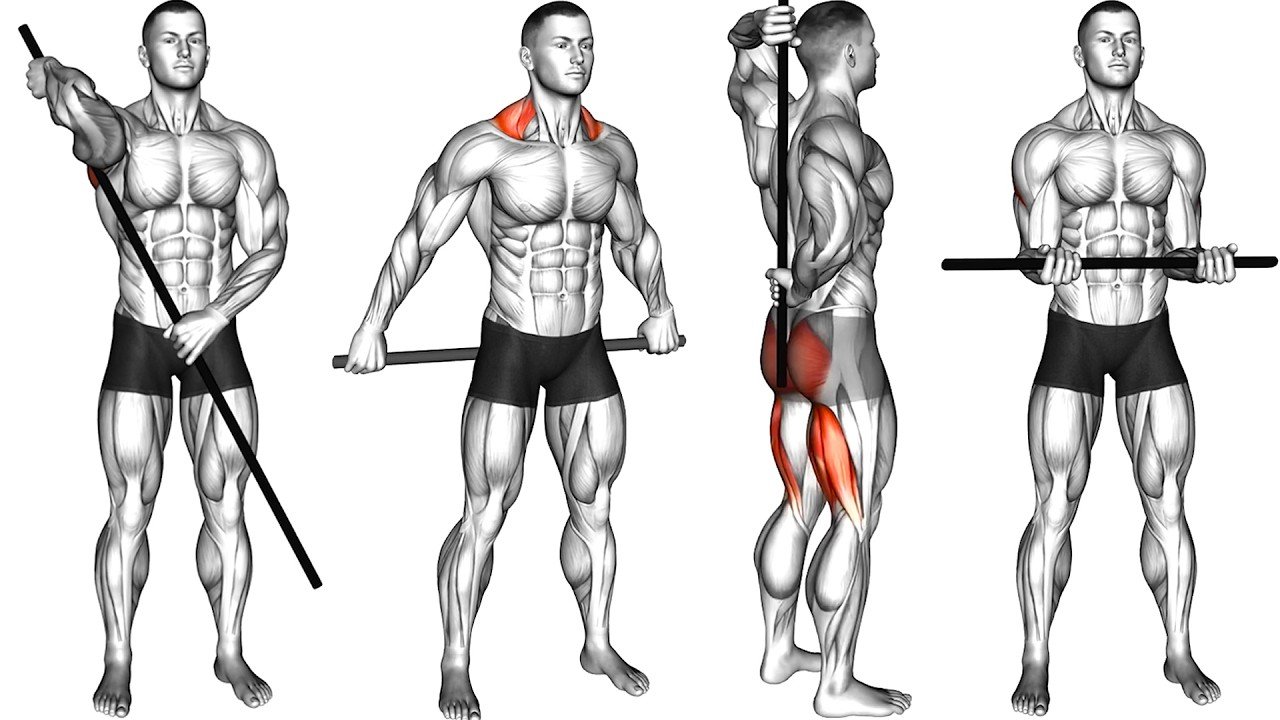 Home Recovery Routine Without a Gym – Beast Immortal