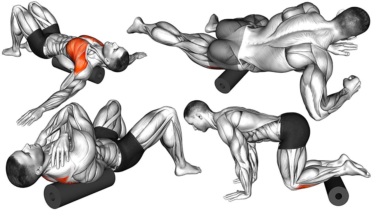 Muscle Mobility The Best Mobility Exercises to Improve Your Range of Motion and Help ...