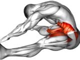 Do These Exercises in The Morning!