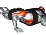 The 35 Best Push-Ups Variations
