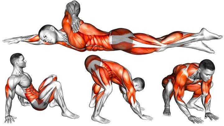 The 11 Best Compound Exercises To Build Strength and Flexibility At Home!