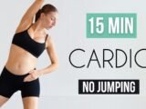 15 Min No Jumping Cardio Workout  Pregnancy Friendly, No Repeats
