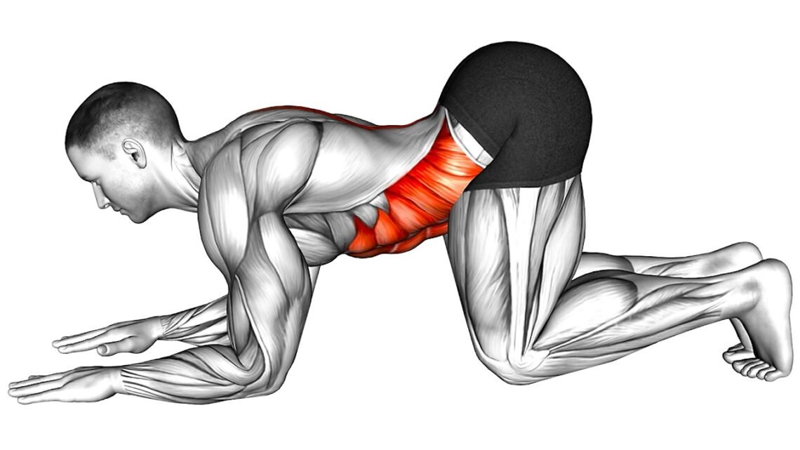9 Minute Morning Exercise Routine for Beginners