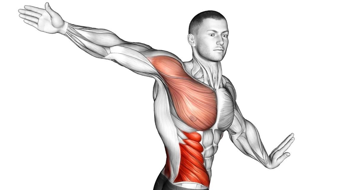 THESE 12 Bodyweight Exercises Fix 95% Of Your Mobility Problems