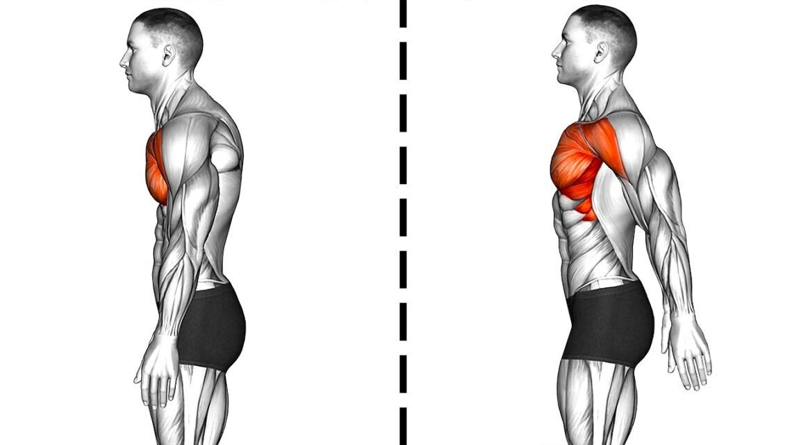 These Exercises Will Improve Your Posture