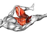 15 Effective Exercises 99% of Men Don’t Know About