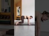 try these 5 exercises for deep core & pelvic floor!